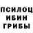 Галлюциногенные грибы Cubensis merafelium Selva