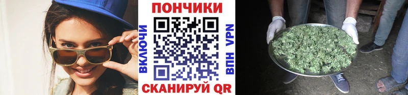 Шишки марихуана марихуана  omg зеркало  Нижний Ломов 